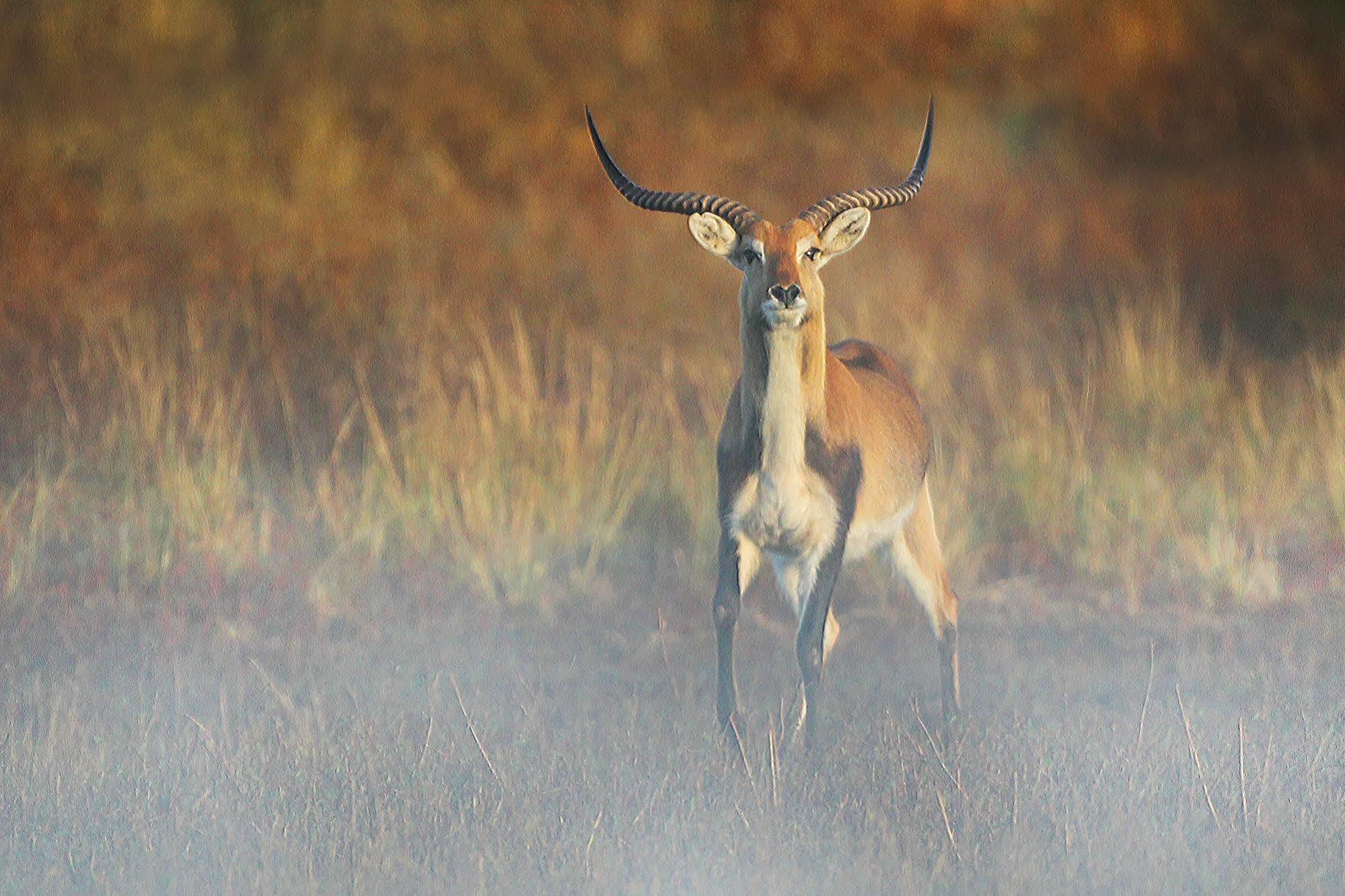 Bona Bona Game Lodge Wolmaranstad Zewnętrze zdjęcie