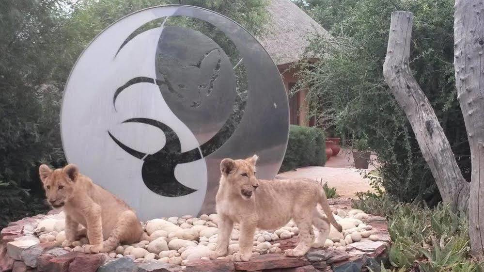 Bona Bona Game Lodge Wolmaranstad Zewnętrze zdjęcie